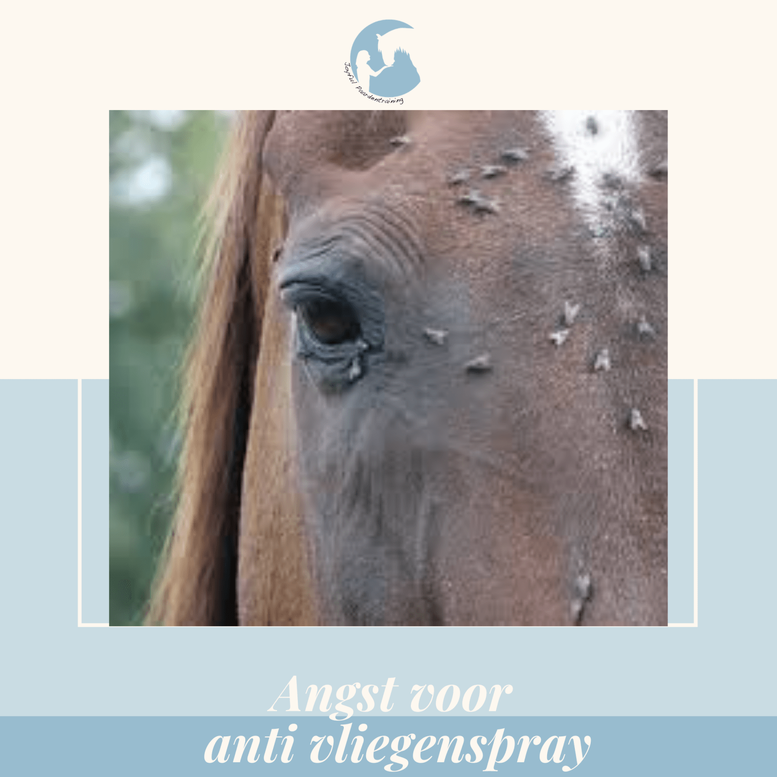 Angst voor anti&nbsp;vliegenspray