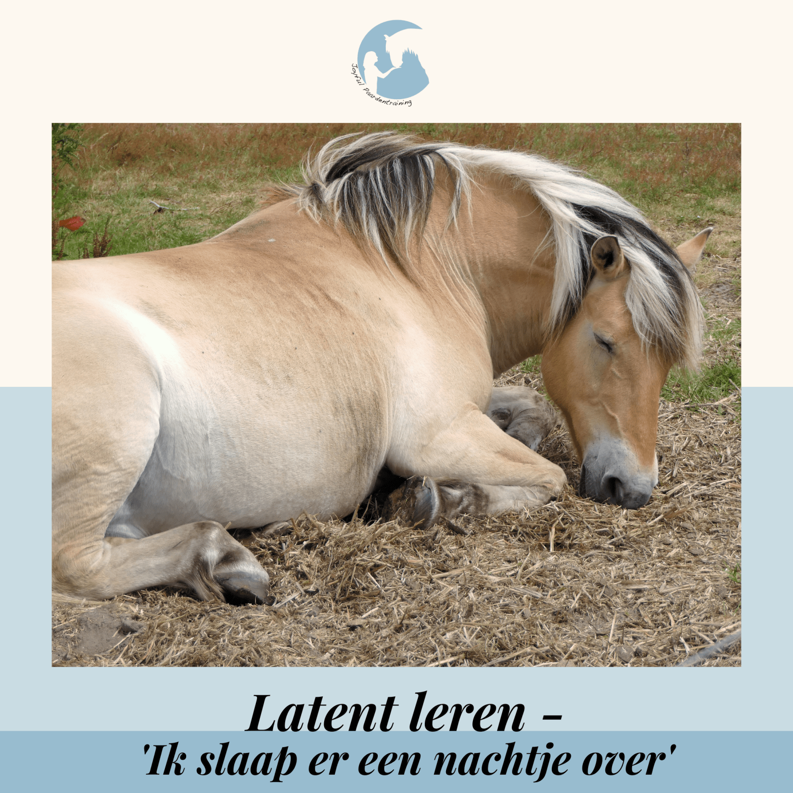 Latent leren – Ik slaap er een nachtje over