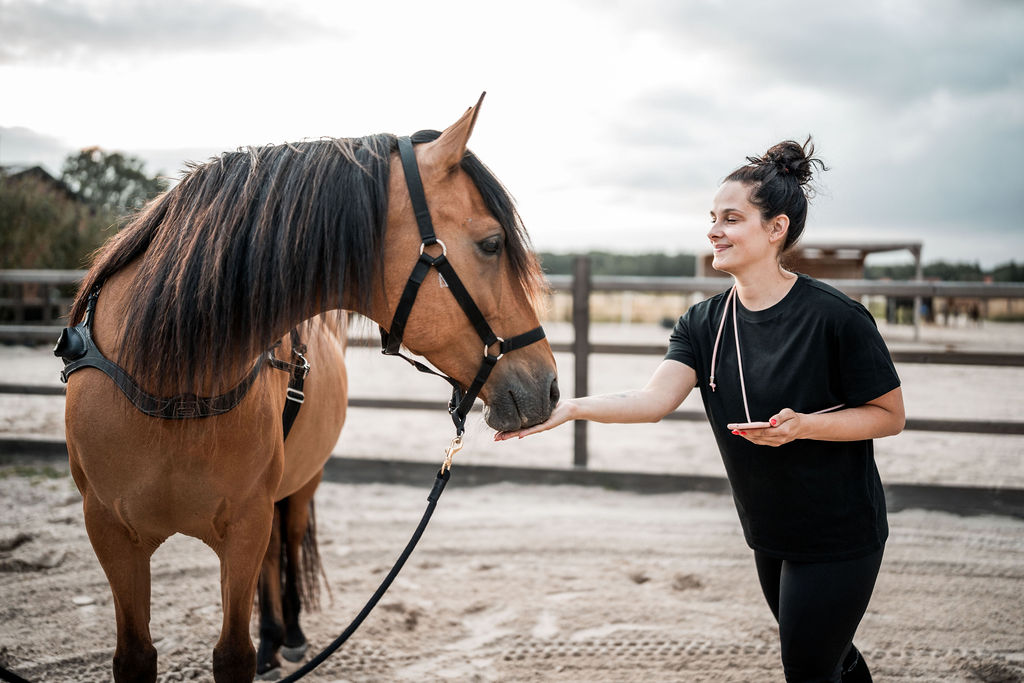 Paard wil niet meer opstappen: pijnherinnering herkennen en aanpakken