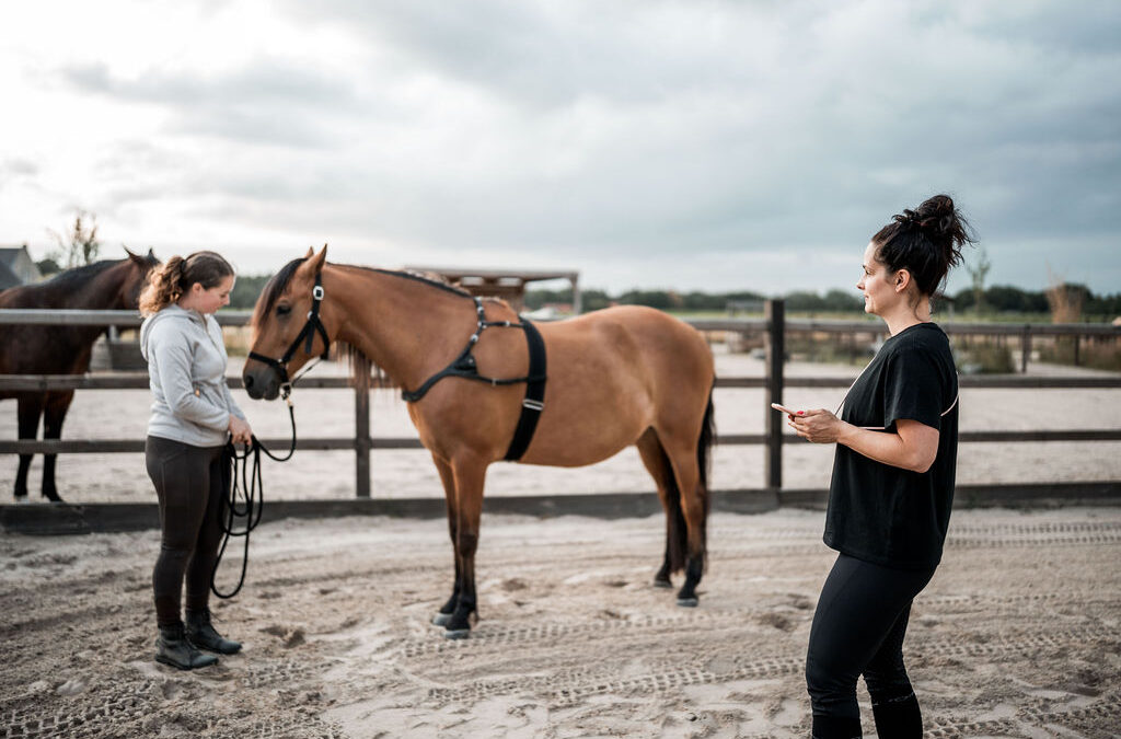 Mijn paard is gespannen: signalen herkennen en wat je eraan kunt doen