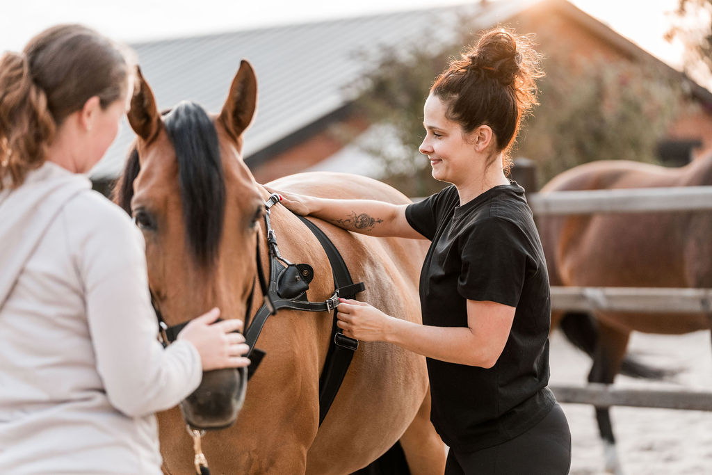 Paard bang voor de dierenarts, hoefsmid of scheerapparaat? Zo pak je verzorgingsangst aan