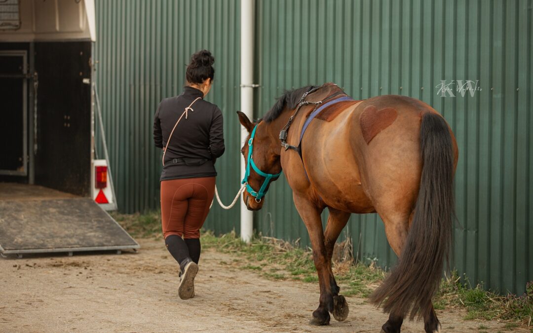 Help! Mijn paard heeft spanning in de trailer tijdens het rijden