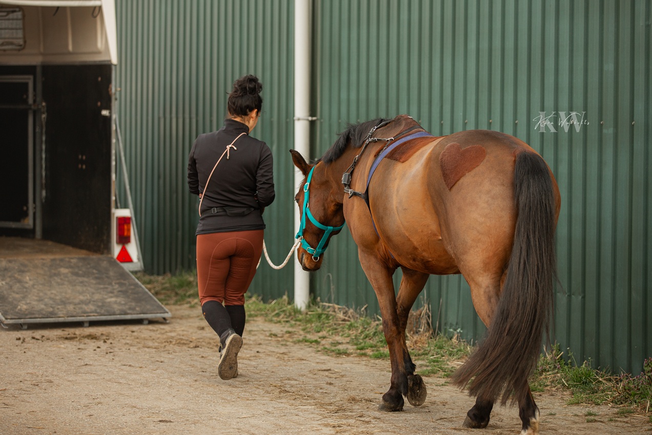 Help! Mijn paard heeft spanning in de trailer tijdens het rijden