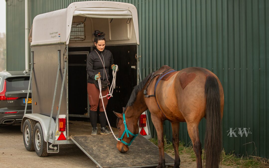 Hoe zet je een paard in je eentje op de trailer? Hoe kan ik mijn paard alleen laden?