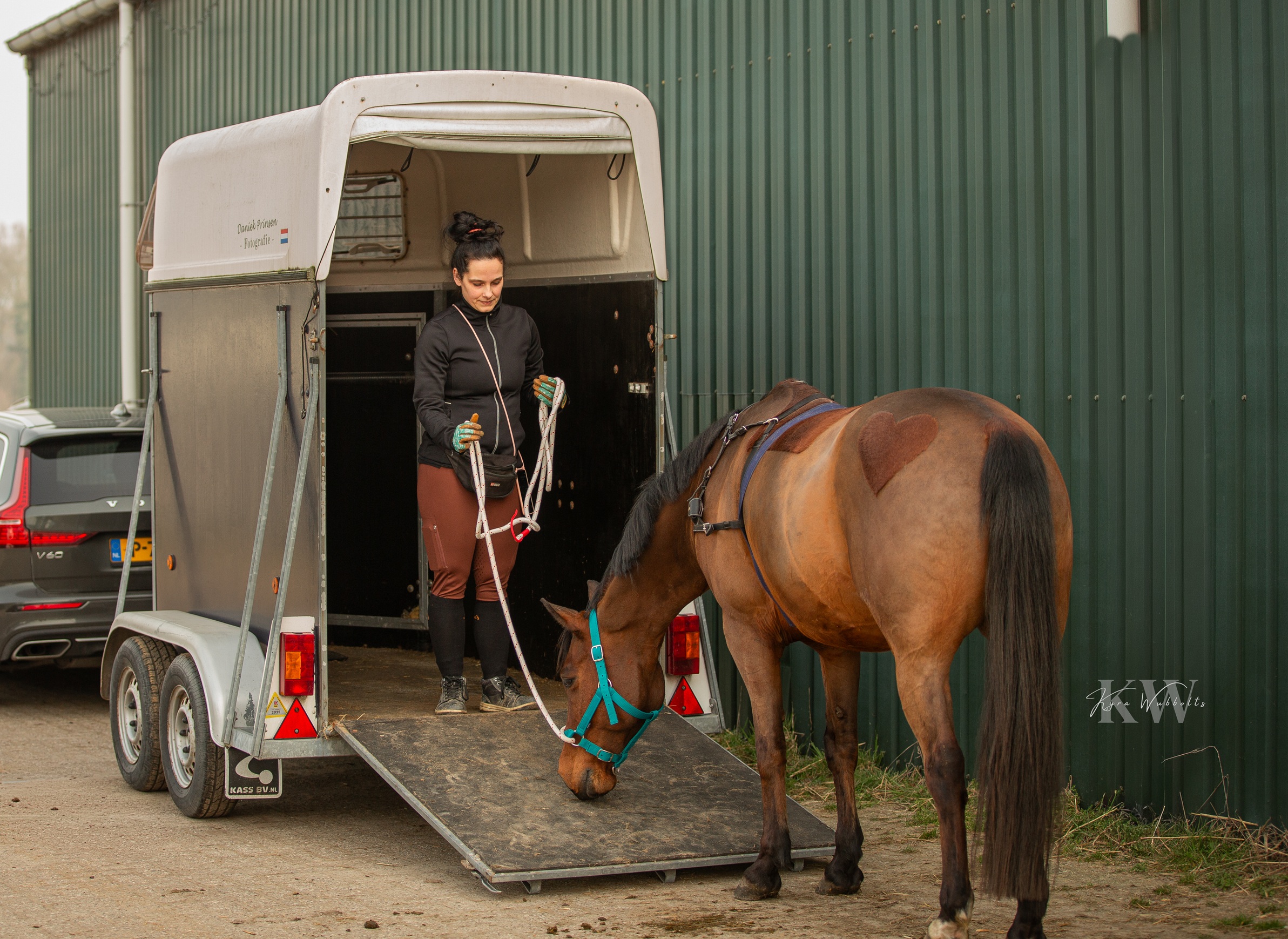 Hoe zet je een paard in je eentje op de trailer? Hoe kan ik mijn paard alleen laden?