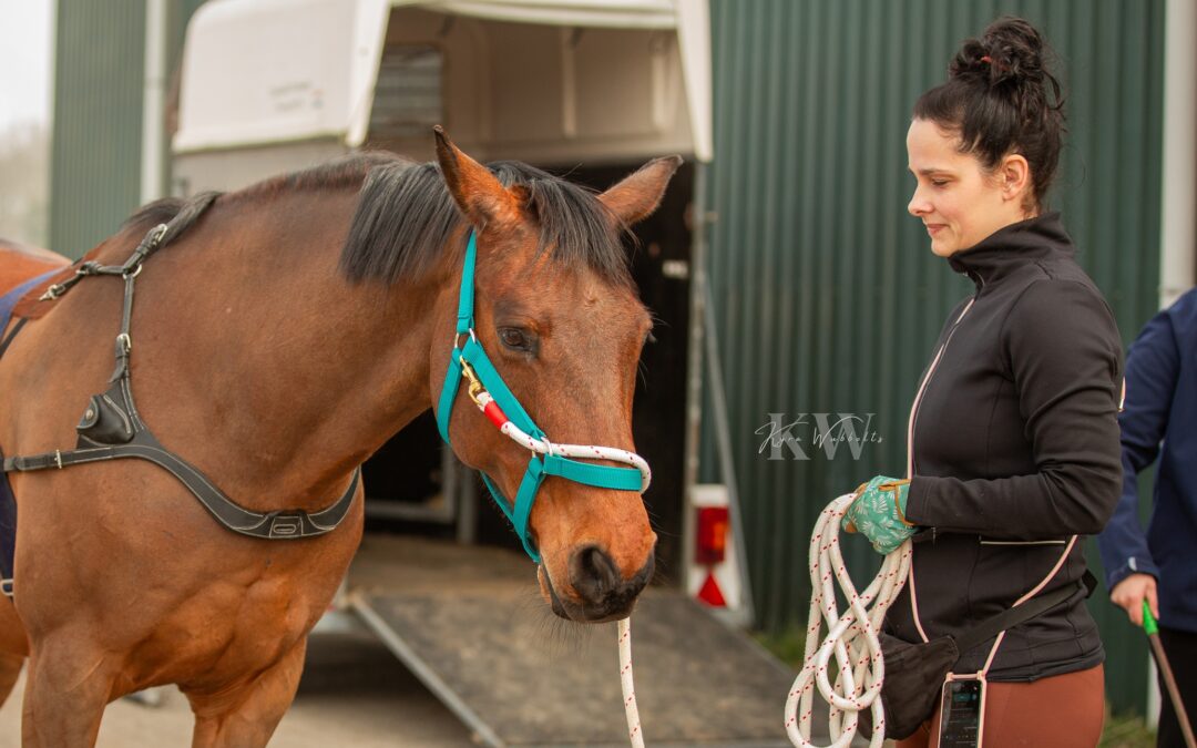 Mag ik met een B rijbewijs een (paarden)trailer trekken?
