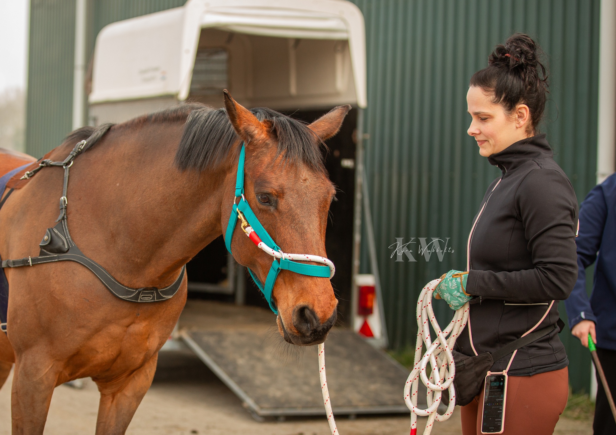 Mag ik met een B rijbewijs een (paarden)trailer trekken?