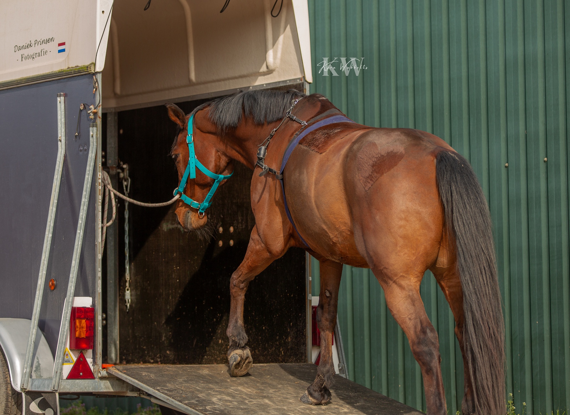 Wat is het terug keuren van een (paarden)trailer? Hoe kan ik een (paarden)trailer terug keuren?