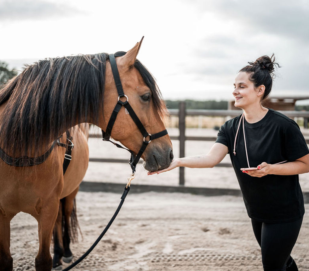 paardentraining-EMDR