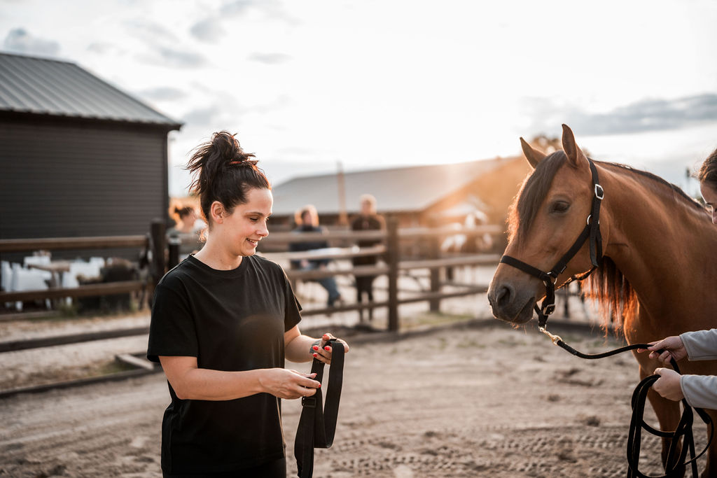 “Mijn paard is niet eigenwijs, er speelt meer”: waarom gedrag niet het hele verhaal is
